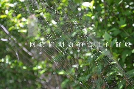 网贷逾期真的会上门催收 网贷逾期真的会上门催收