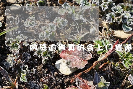 网贷逾期真的会上门催账 网贷逾期真的会上门催账