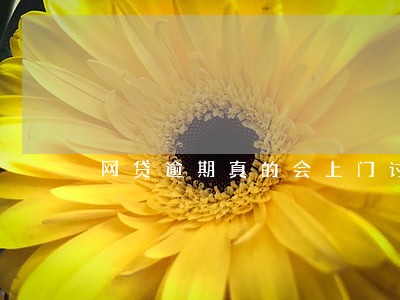 网贷逾期真的会上门讨债吗 网贷逾期真的会上门讨债吗