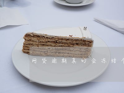网贷逾期真的会冻结个人财产么 网贷逾期真的会冻结个人财产么