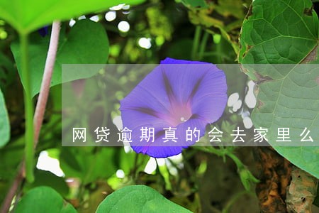 网贷逾期真的会去家里么 网贷逾期真的会去家里么