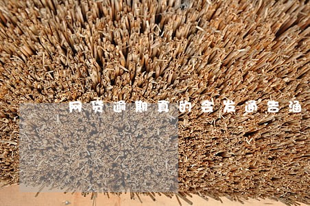网贷逾期真的会发通告涵吗