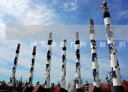 网贷逾期真的会取证吗 网贷逾期真的会取证吗