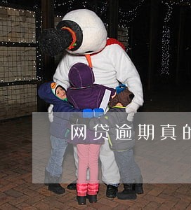 网贷逾期真的会坐牢吗 网贷逾期真的会坐牢吗