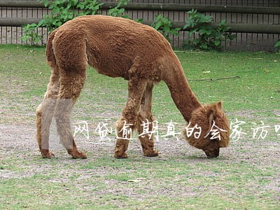 网贷逾期真的会家访吗 网贷逾期真的会家访吗