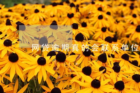 网贷逾期真的会联系单位吗 网贷逾期真的会联系单位吗
