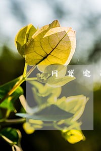 网贷逾期真的会被告知社会吗 网贷逾期真的会被告知社会吗
