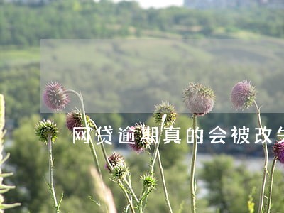 网贷逾期真的会被改失信彩铃吗 网贷逾期真的会被改失信彩铃吗