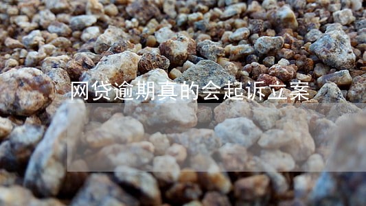 网贷逾期真的会起诉立案 网贷逾期真的会起诉立案