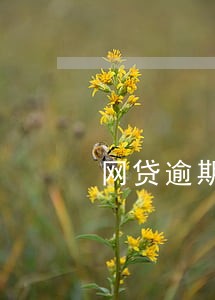 网贷逾期真的会限制出行吗 网贷逾期真的会限制出行吗