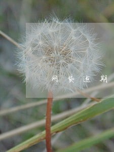 网贷逾期真的可以拦截么 网贷逾期真的可以拦截么
