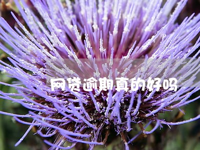 网贷逾期真的好吗 网贷逾期真的好吗