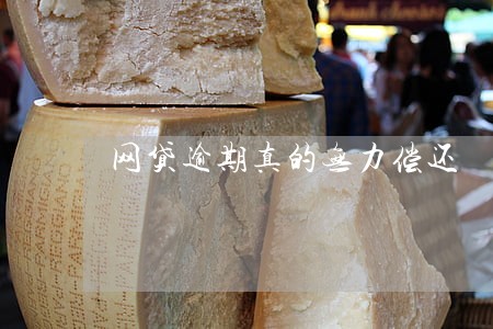 网贷逾期真的无力偿还 网贷逾期真的无力偿还