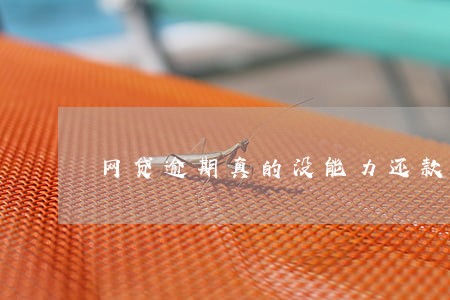 网贷逾期真的没能力还款了怎么办 网贷逾期真的没能力还款了怎么办