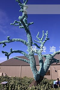 网贷逾期真的能债务重组吗 网贷逾期真的能债务重组吗