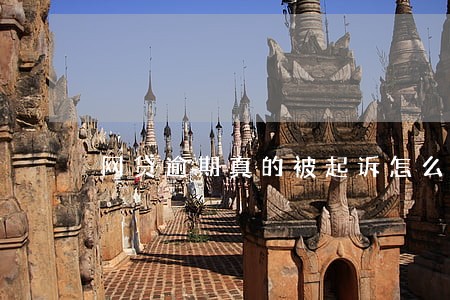 网贷逾期真的被起诉怎么查 网贷逾期真的被起诉怎么查