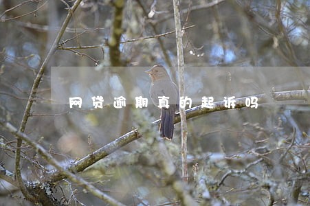 网贷逾期真的起诉吗 网贷逾期真的起诉吗