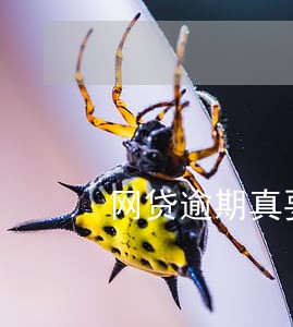 网贷逾期真要还全部吗 网贷逾期真要还全部吗
