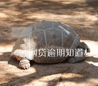 网贷逾期知道村委书记名字 网贷逾期知道村委书记名字