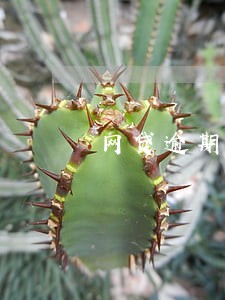 网贷逾期短信也不发了
