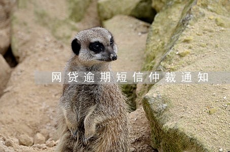 网贷逾期短信仲裁通知 网贷逾期短信仲裁通知