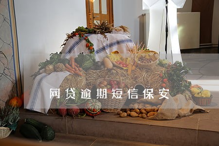 网贷逾期短信保安 网贷逾期短信保安