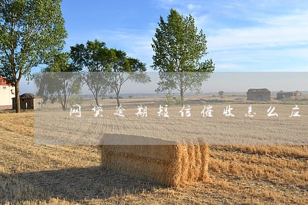 网贷逾期短信催收怎么应对 网贷逾期短信催收怎么应对