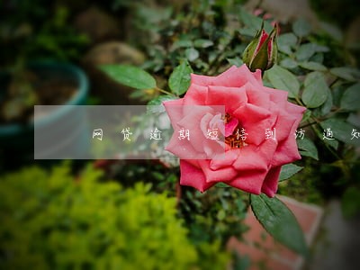 网贷逾期短信到访通知有具体人员 网贷逾期短信到访通知有具体人员