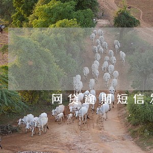 网贷逾期短信发应诉通知 网贷逾期短信发应诉通知