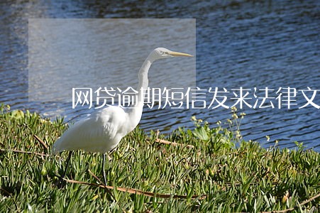 网贷逾期短信发来法律文书