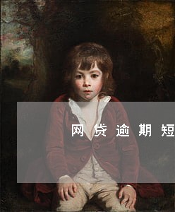 网贷逾期短信回复T