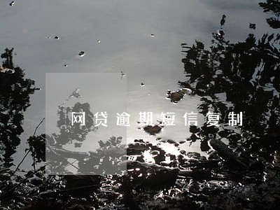 网贷逾期短信复制 网贷逾期短信复制