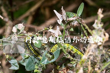 网贷逾期短信外访通知 网贷逾期短信外访通知