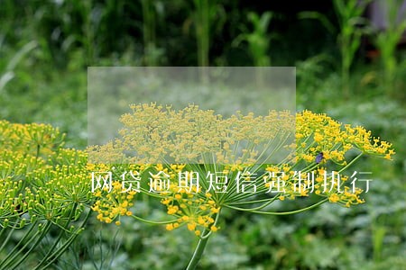 网贷逾期短信强制执行