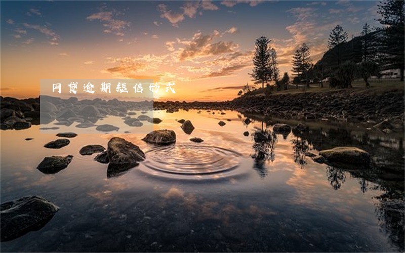网贷逾期短信形式 网贷逾期短信形式