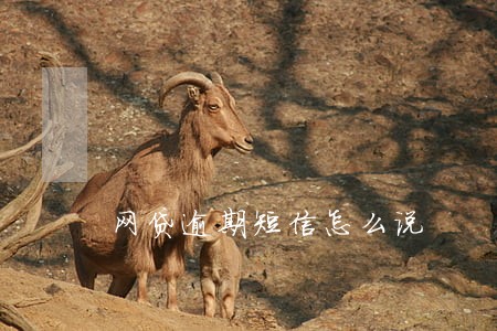 网贷逾期短信怎么说 网贷逾期短信怎么说