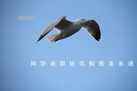 网贷逾期短信截图发来通告函 网贷逾期短信截图发来通告函
