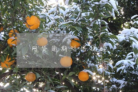 网贷逾期短信提醒 网贷逾期短信提醒