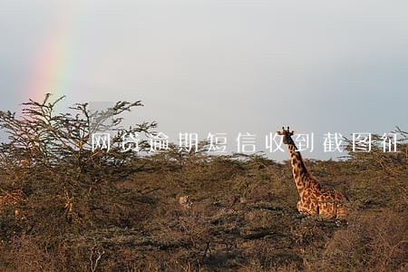 网贷逾期短信收到截图征信 网贷逾期短信收到截图征信