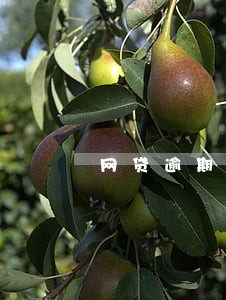 网贷逾期短信收到诉讼告知函 网贷逾期短信收到诉讼告知函