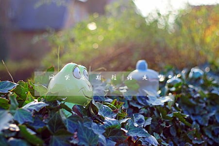 网贷逾期短信是哪种 网贷逾期短信是哪种