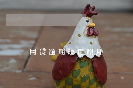 网贷逾期短信照片 网贷逾期短信照片