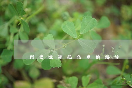 网贷逾期短信申请起诉 网贷逾期短信申请起诉