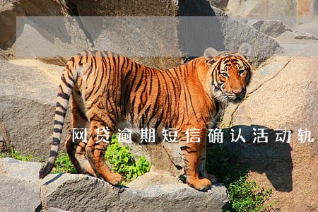 网贷逾期短信确认活动轨迹 网贷逾期短信确认活动轨迹