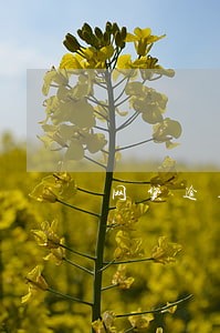 网贷逾期短信给朋友亲戚什么内容 网贷逾期短信给朋友亲戚什么内容