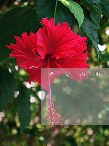 网贷逾期短信说来我家里 网贷逾期短信说来我家里