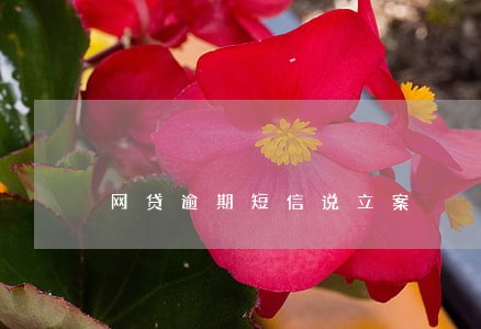 网贷逾期短信说立案 网贷逾期短信说立案