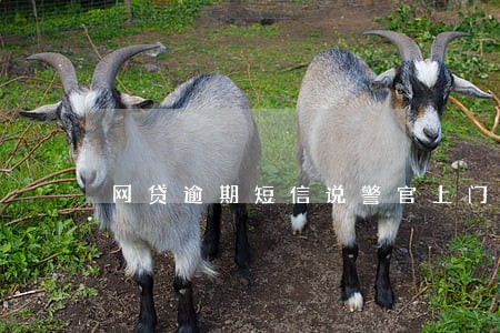 网贷逾期短信说警官上门 网贷逾期短信说警官上门