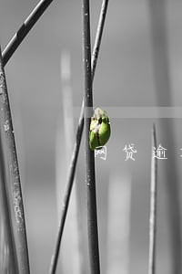 网贷逾期短信说走流程是什么