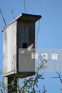 网贷逾期短信说起诉我离婚